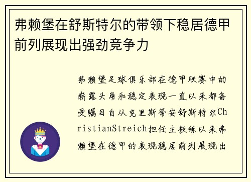 弗赖堡在舒斯特尔的带领下稳居德甲前列展现出强劲竞争力